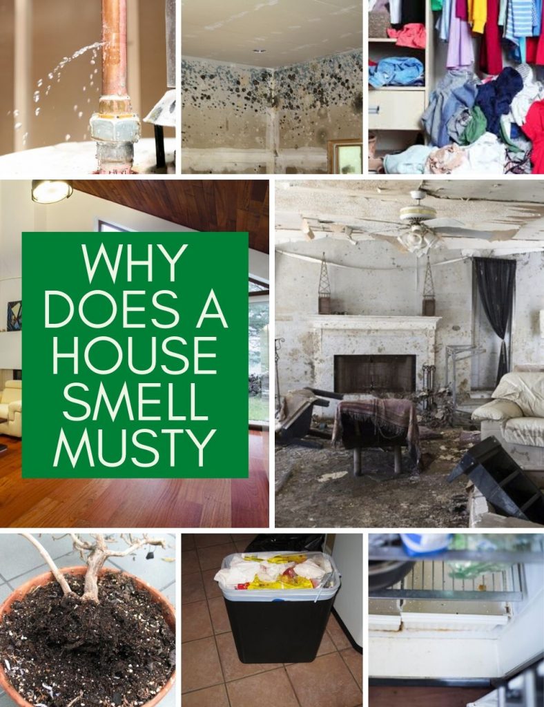 Why Does a House Smell Musty