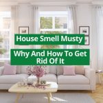 house smell musty