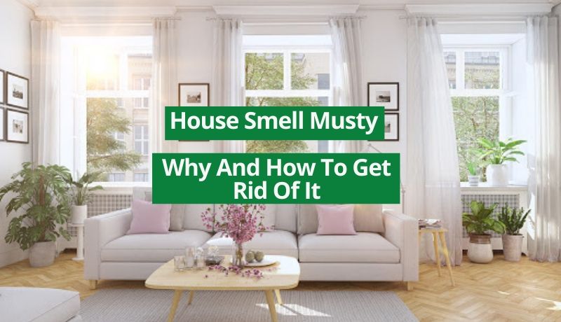 house smell musty