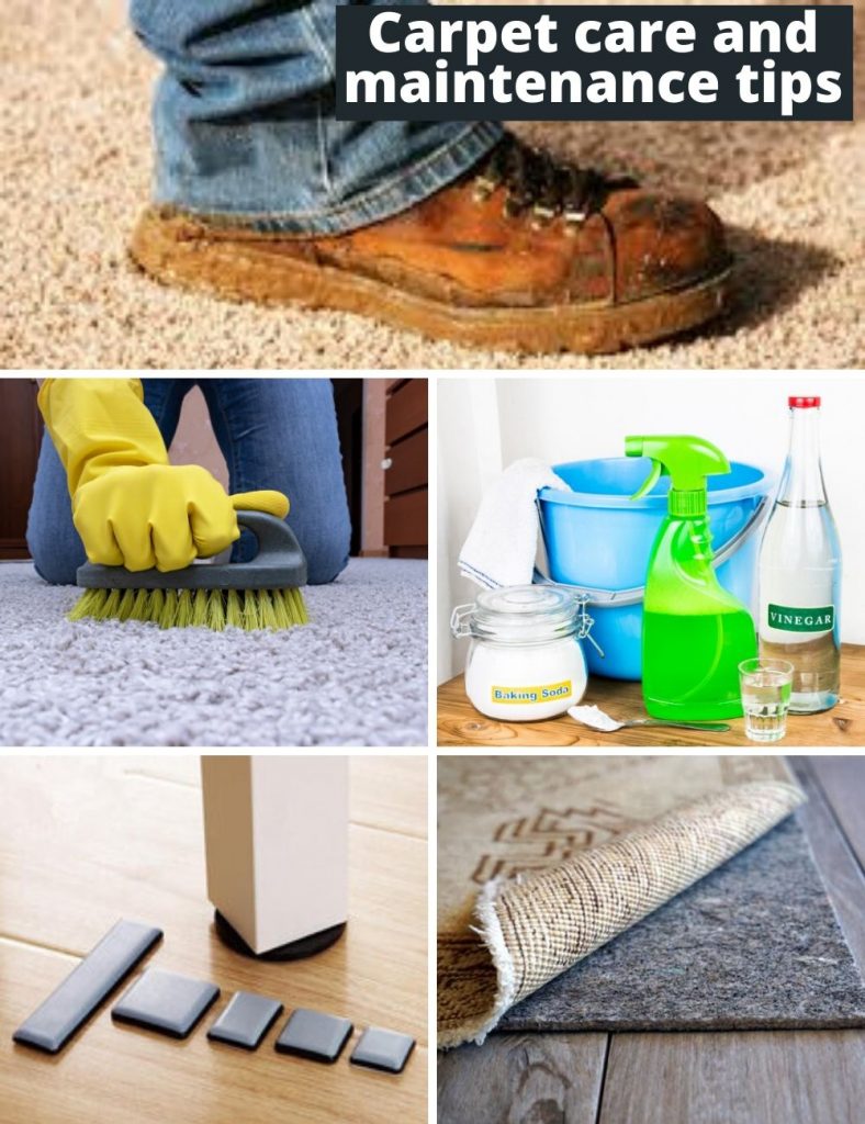 Carpet care and maintenance tips