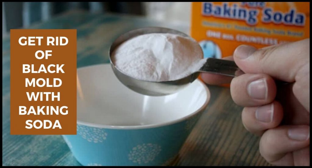 get rid of black mold with baking soda