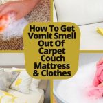 How To Get Vomit Smell Out