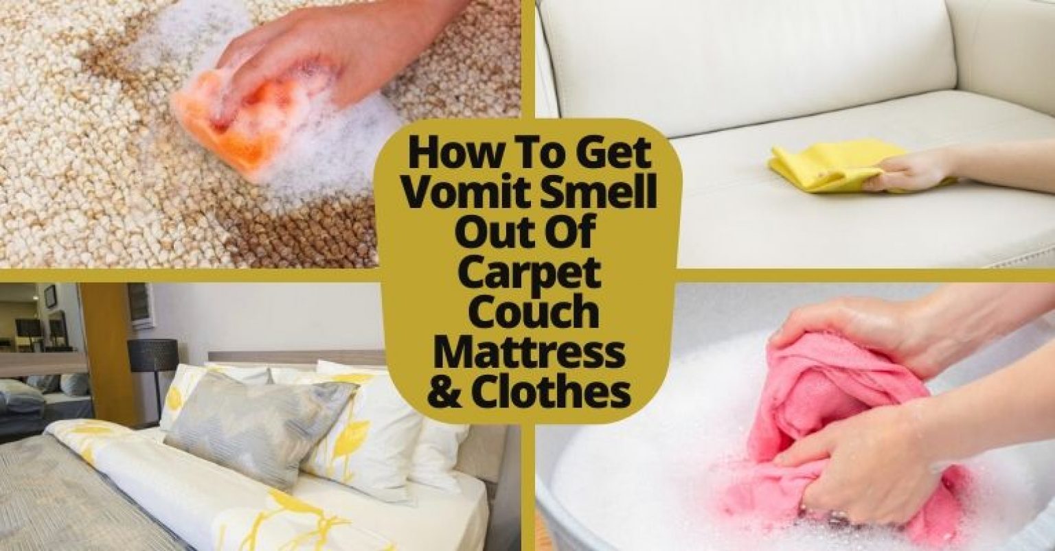 How To Get Vomit Smell Out Of Carpet, Couch, Mattress