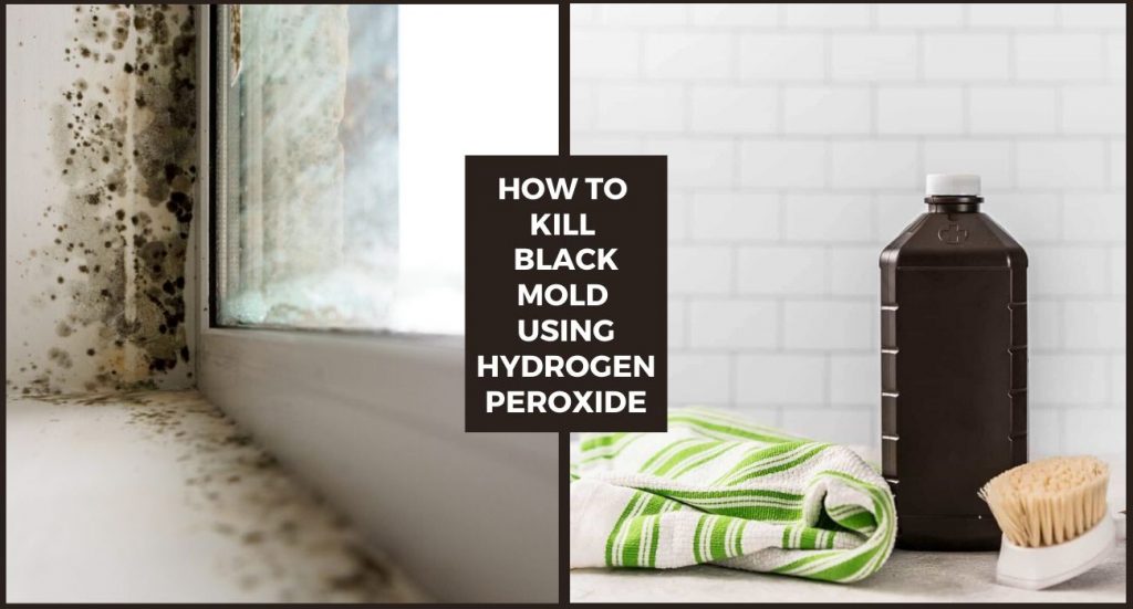 How to Kill Black Mold using Hydrogen Peroxide