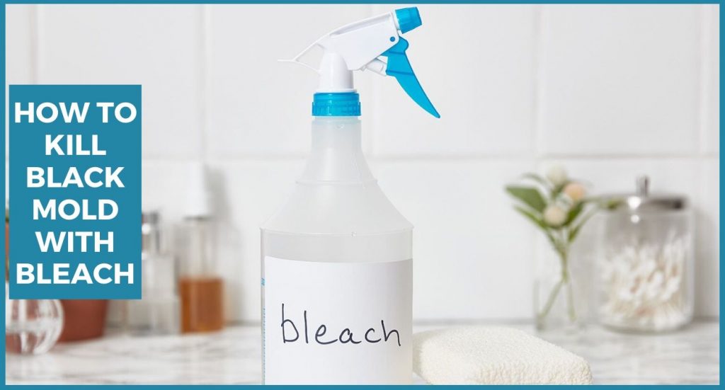 How to Kill Black Mold with Bleach