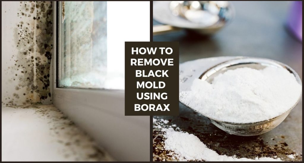 How to Remove Black Mold Using Borax