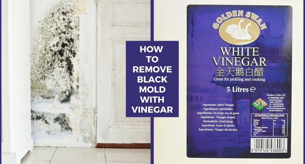 How to Remove Black Mold with Vinegar