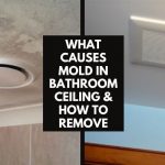 What causes mold in bathroom ceiling
