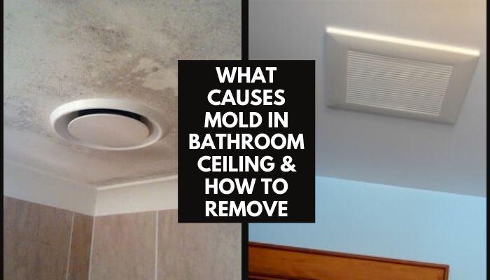 What Causes Mold in Bathroom Ceiling & How to Remove