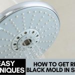 how to get rid of black mold in shower