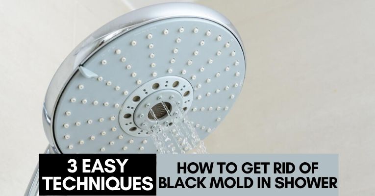 how to get rid of black mold in shower