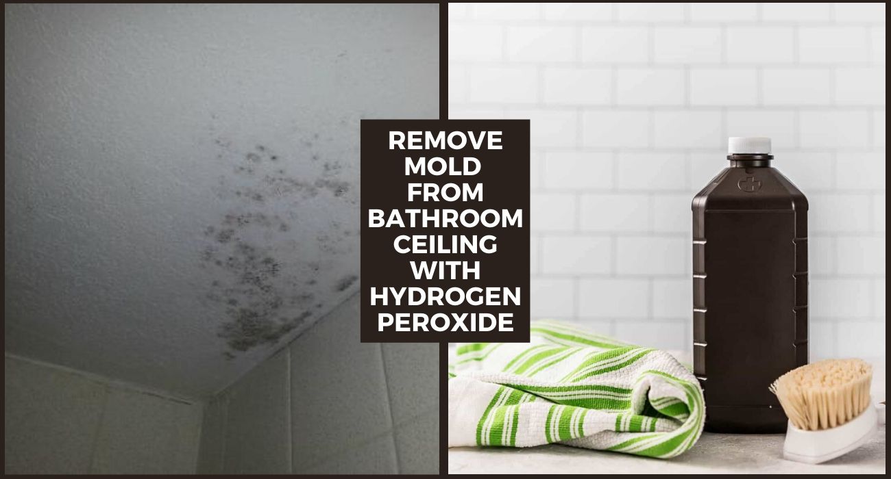 Remove Mold From Bathroom Ceiling with Hydrogen Peroxide