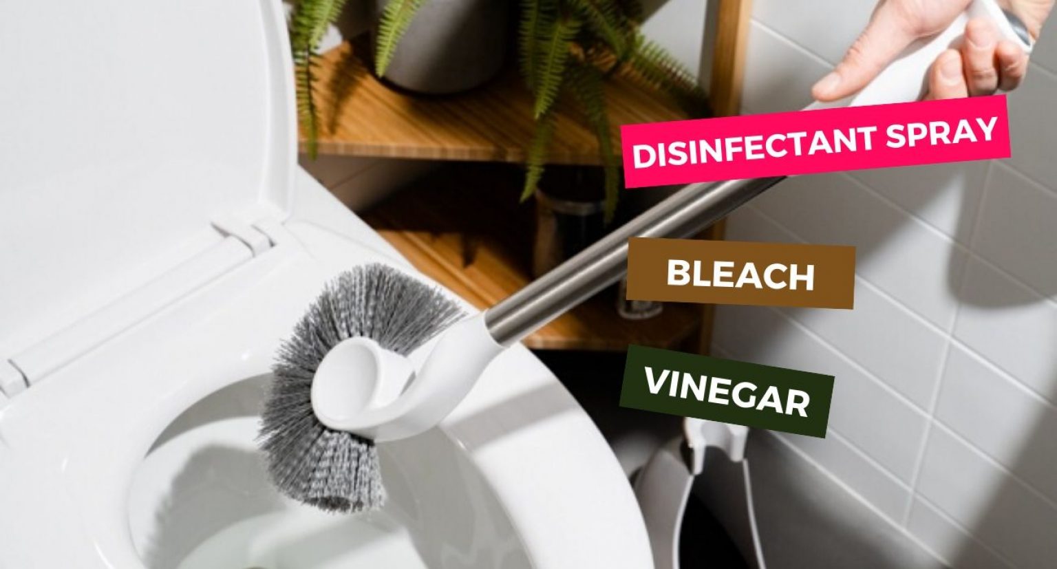 How to Clean a Toilet Brush 3 Simple Techniques