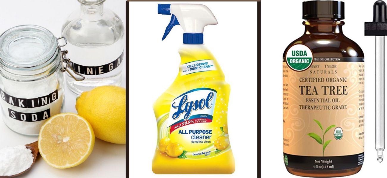 How to Get Mold Out of Carpet Easily & Naturally