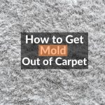 How to Get Mold Out of Carpet