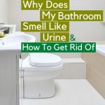 Why Does My Bathroom Smell Like Urine