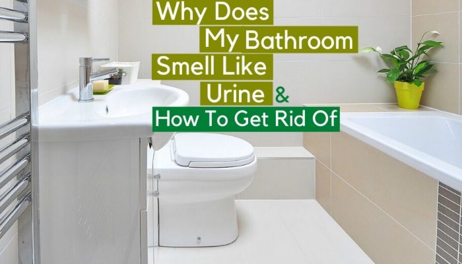 Why Does My Bathroom Smell Like Urine & How to Get Rid of