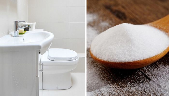 unclog a toilet with salt