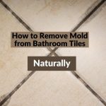 How to Remove Mold from Bathroom Tiles naturally