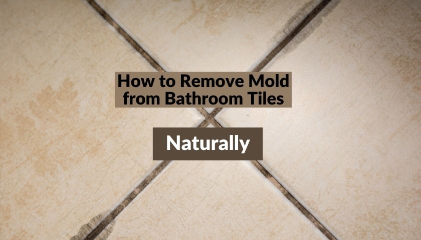 How to Remove Mold from Bathroom Tiles naturally