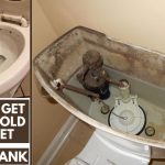 How to Get Rid of Mold in Toilet
