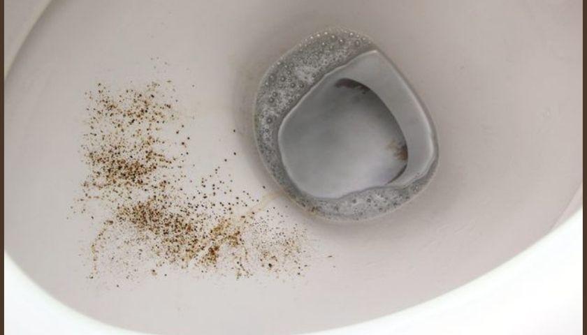 How to Remove Mold in Toilet Bowl