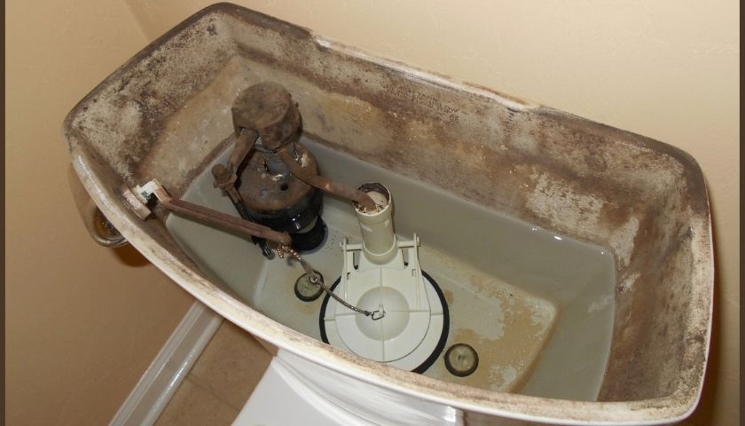 How to Remove Mold in Toilet Tank