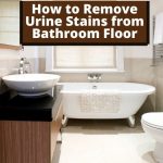 How to Remove Urine Stains from Bathroom Floor