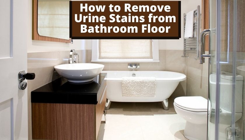 How to Remove Urine Stains from Bathroom Floor