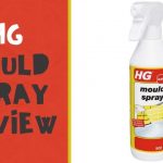 HG mould spray review