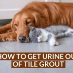 How to Get Urine Out of Tile Grout