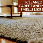 I Cleaned My Carpet and Now It Smells Like Urine