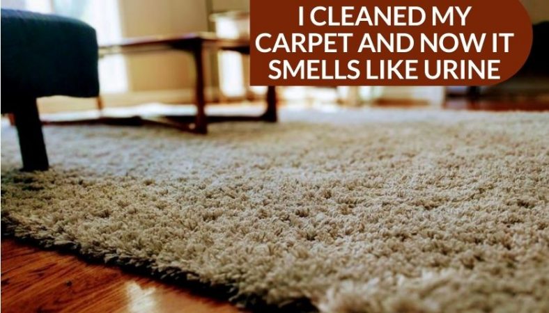urine in carpet smell