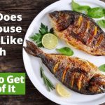 Why Does My House Smell Like Fish
