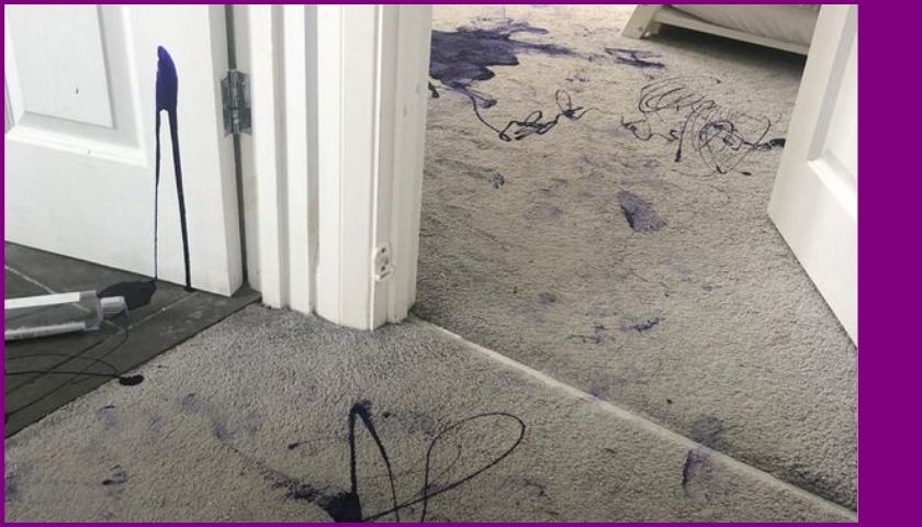 How to Get Purple Shampoo Out of Carpet