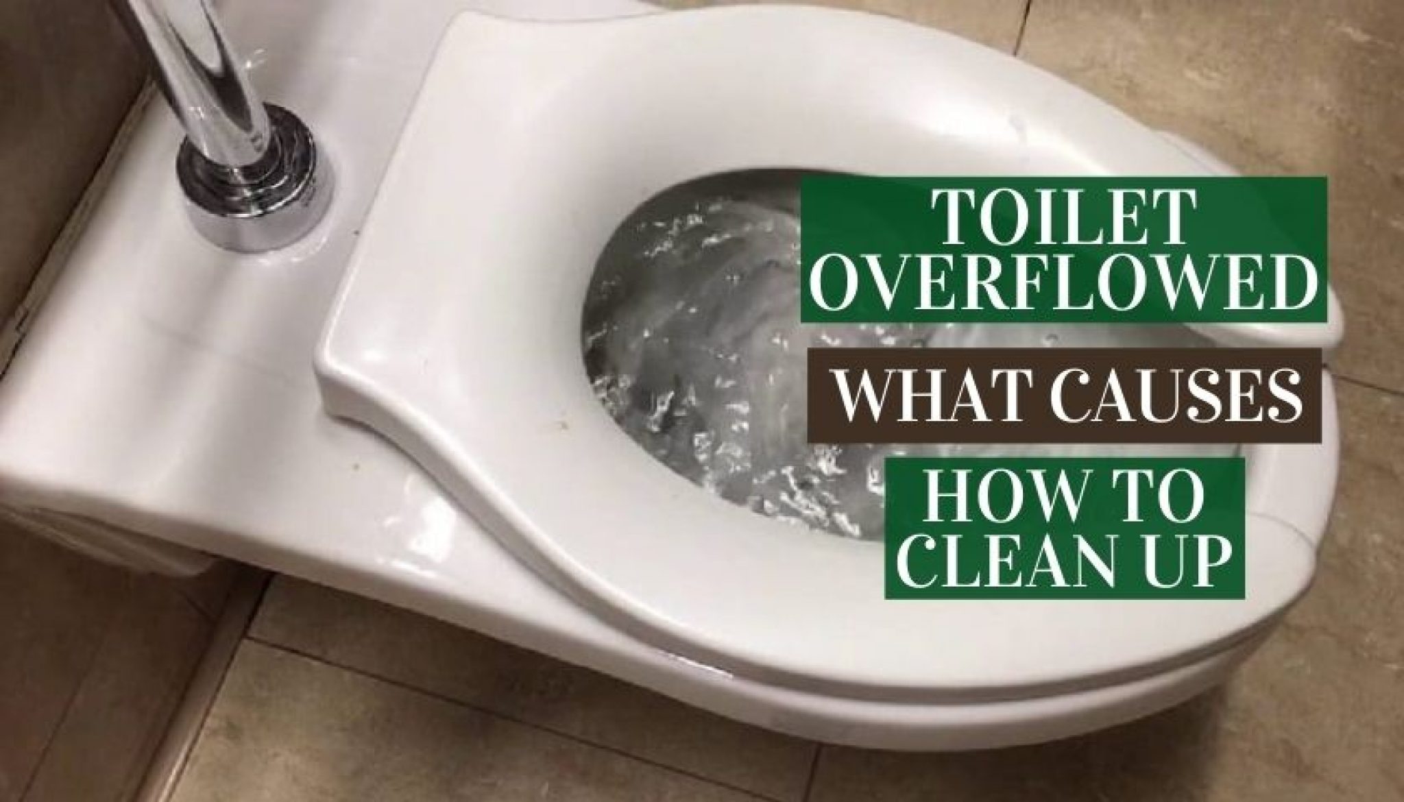 Toilet Overflowed | What Causes & How to Clean Up My Toilet Overflowed And Now My Carpet Smells