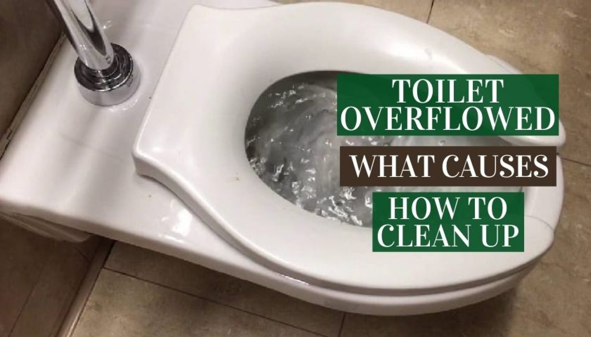 Toilet Overflowed What Causes & How to Clean Up