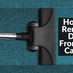 how to remove dust from the carpet