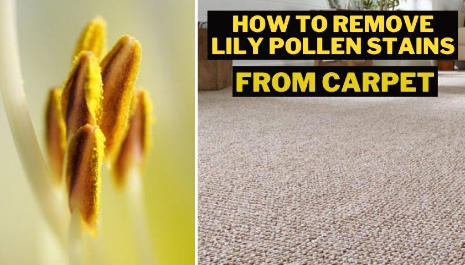 how do you remove lily pollen stains from countertops