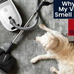 Why Does My Vacuum Smell Like Dog