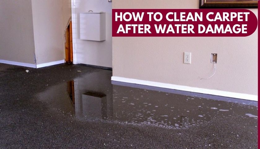 How to Clean Carpet After Water Damage