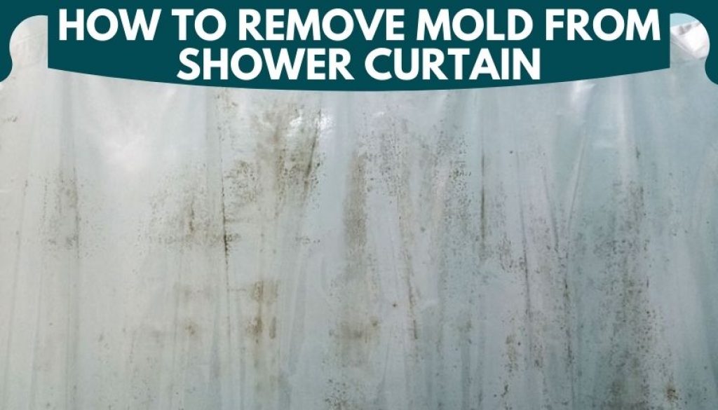 How to Remove Mold from Shower Curtain Here is the Solution