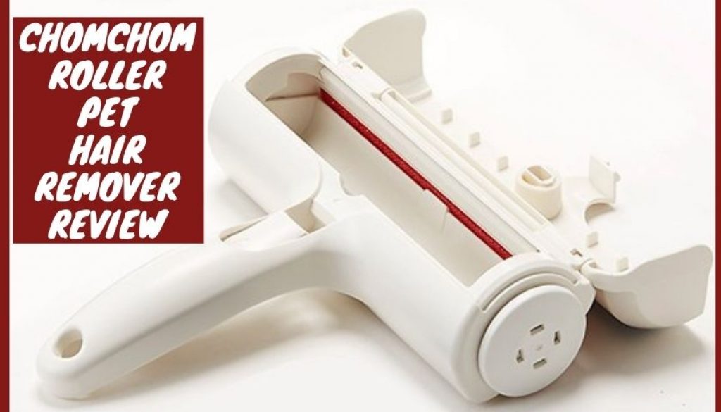 ChomChom Roller Pet Hair Remover Review The Best Lint Brush