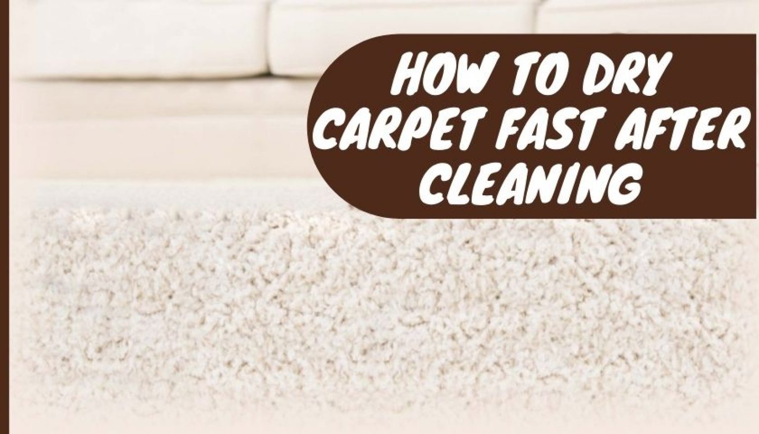 How To Dry Carpet Fast After Cleaning Get Prompt Results