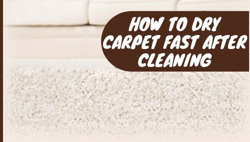 How To Dry Carpet Fast After Cleaning