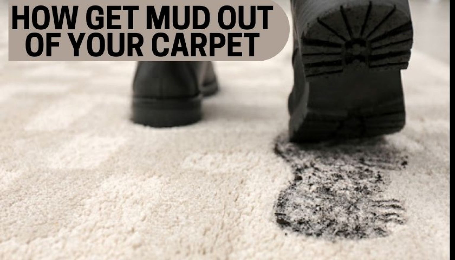 4 Effective Methods to Get Mud Out of Your Carpet