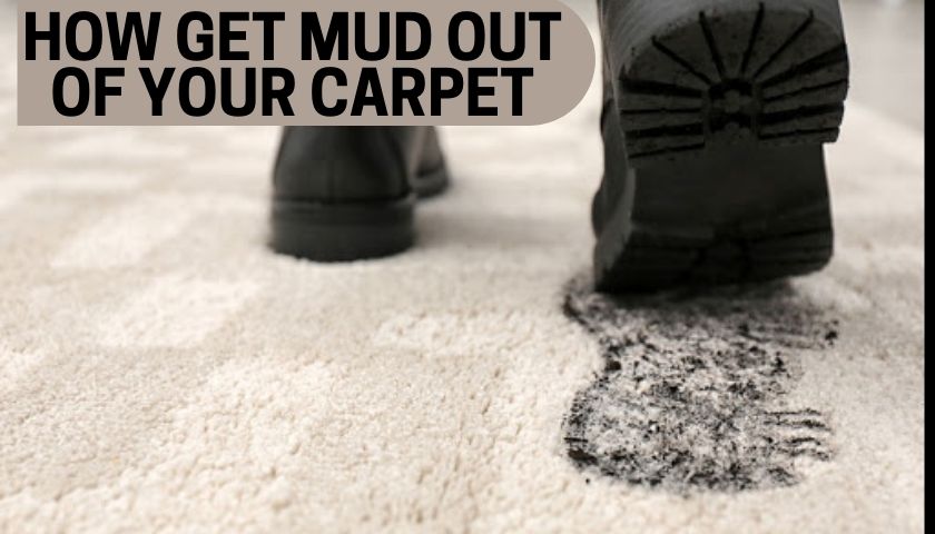 How Get Mud Out of Your Carpet