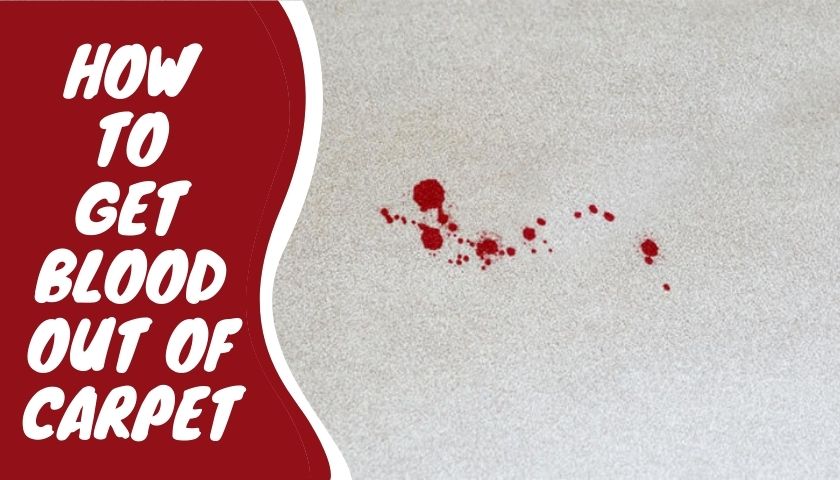 how get blood out of carpet