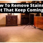 Remove Stains In Carpet That Keep Coming Back