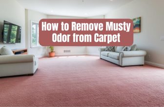 How to Remove Musty Odor from Carpet
